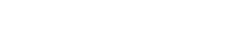 MINI KUMAMOTO